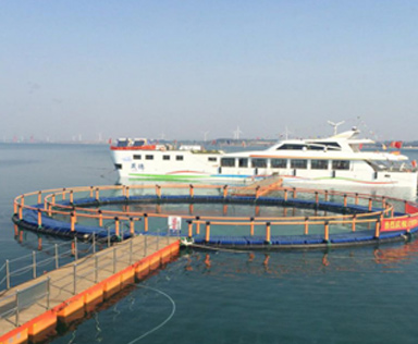 2016年，威海旅游局游艇浮筒码头项目
